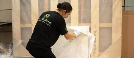 Packing collection and delivery worldwide
